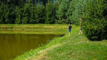 Фото номера Дом с 3 спальнями Апартаменты Vasilevičių Sodyba - Entire Homestead with Sauna г. Piauliai 28