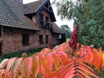 Фото номера Дом с 3 спальнями Апартаменты Vasilevičių Sodyba - Entire Homestead with Sauna г. Piauliai 64